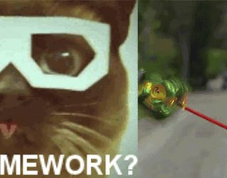 Els cursos Marta Mata explicats en gifs