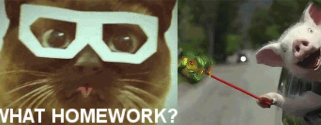 Els cursos Marta Mata explicats en gifs